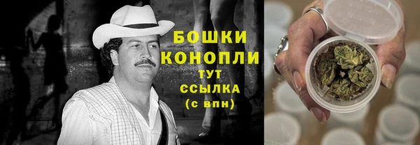 прущие грибы Гусев