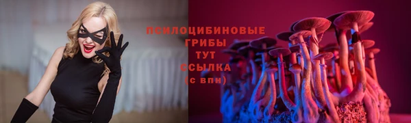 COCAINE Гусь-Хрустальный
