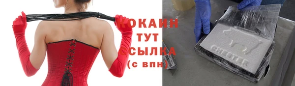 прущие грибы Гусев