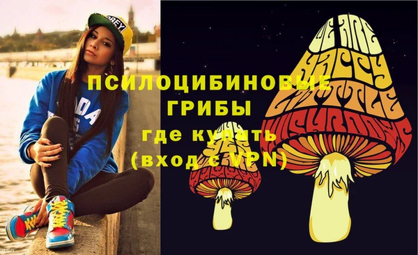 прущие грибы Гусев
