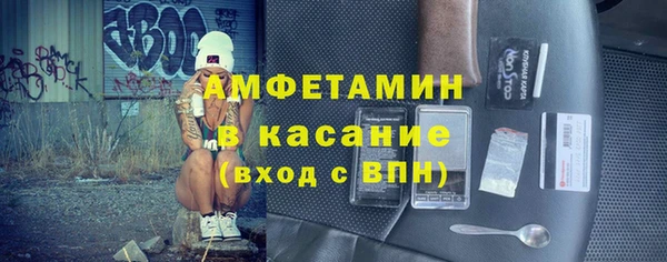 прущие грибы Гусев