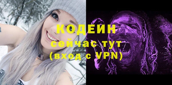 прущие грибы Гусев