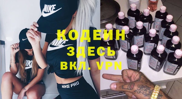 прущие грибы Гусев