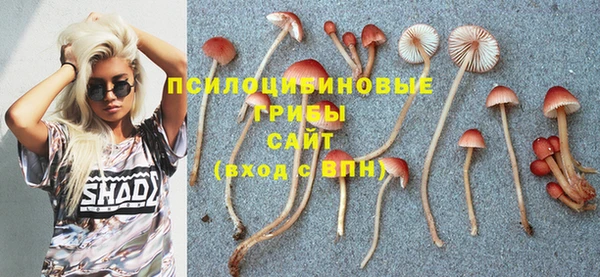 прущие грибы Гусев