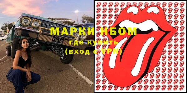 прущие грибы Гусев