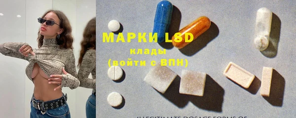 гашик Горняк