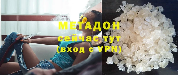 прущие грибы Гусев