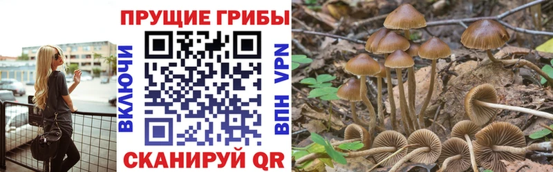 Купить где  Оленегорск  Галлюциногенные грибы прущие грибы 