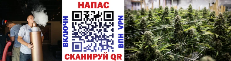 Купить закладки  Оленегорск  Конопля Amnesia 